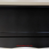 T1N 2001-2006 Dodge Sprinter Van Cab Headliner Shelf - Image 10