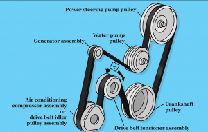Serpentine Belt / Drive Belt - Ribbed T1N 2001-2006 Sprinter Van